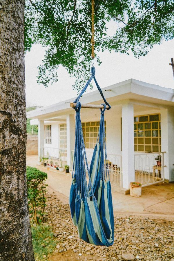 Karibu Africa Home 모시 외부 사진