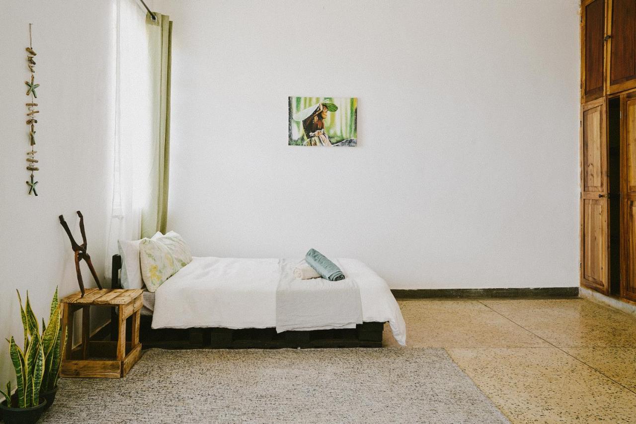 Karibu Africa Home 모시 외부 사진