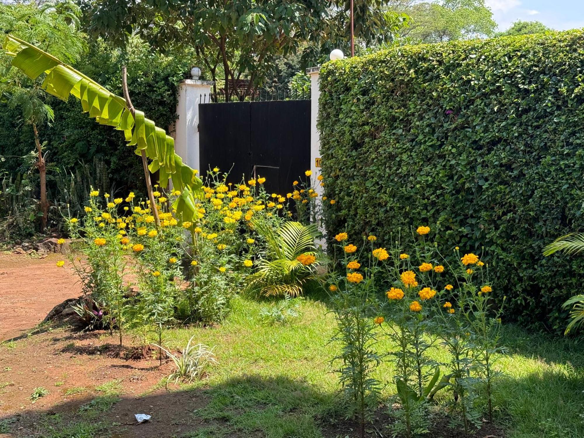 Karibu Africa Home 모시 외부 사진