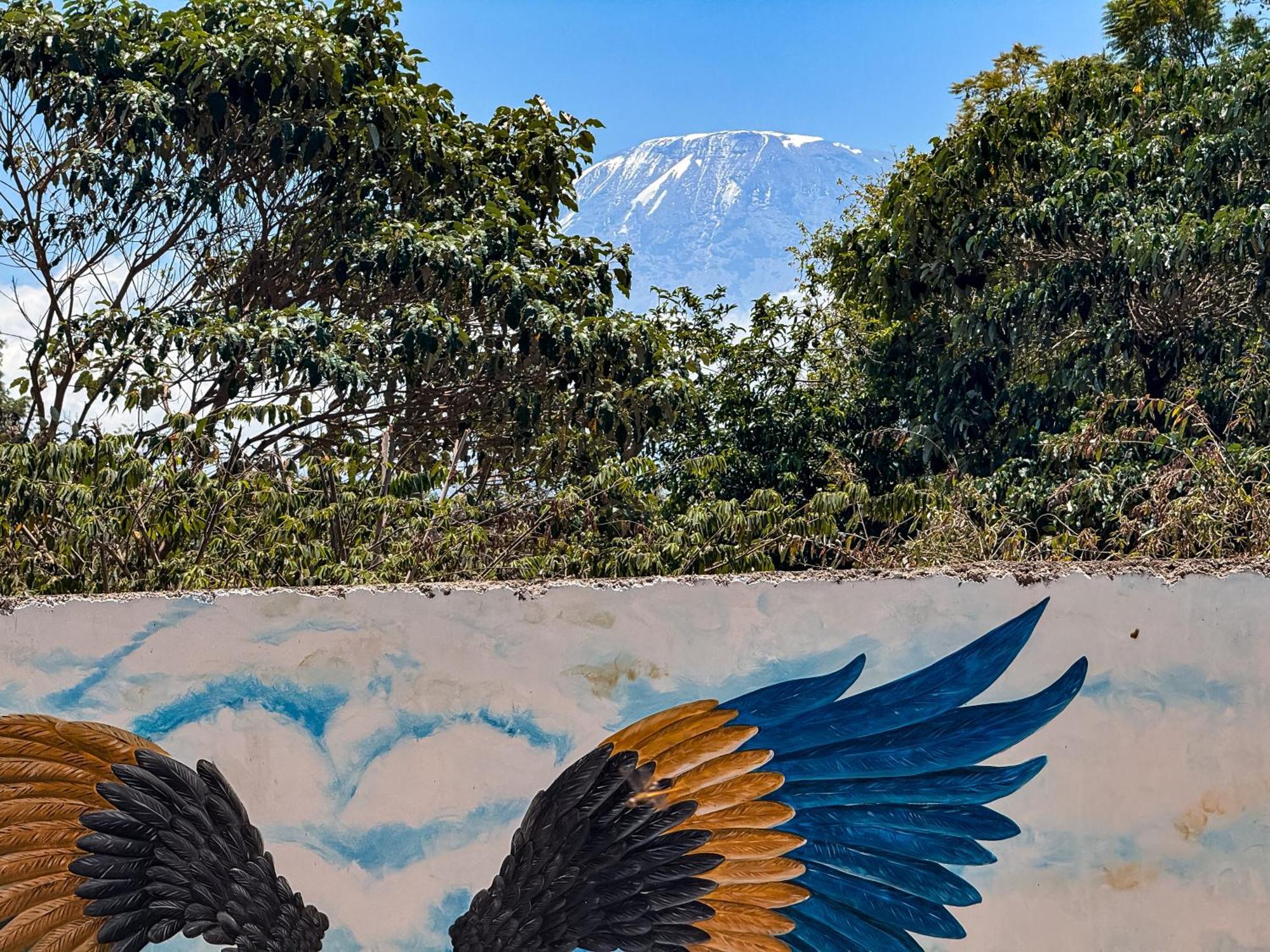 Karibu Africa Home 모시 외부 사진